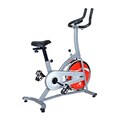 Sunny Indoor Cycling Bike