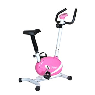 Sunny Pink Magnetic Upright Bike-Image