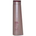 Convenient info on Enjoy Hair Care Joico Color Endure 10.1-oz Shampoo