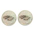 Philadelphia Eagle Glitter Stud Earrings