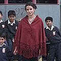 'Andes Meadow' Alpaca Wool Poncho (Peru)