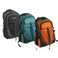 Olympia Bruin Sport Plus Semester 19-inch Backpack