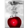 Roderick Stevens 'Red Apple Splash' Canvas Art