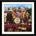 Free connected facts for Beatles 45 Rpm Record Values 'Beatles: Sgt. Pepper's Lonely Hearts Club Band' Framed Art Print