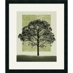 Harold Silverman 'Nature's Shapes I' Framed Art Print
