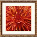 Alluring information on Fabulous Victorian mahogany Sarah Caswell 'Fabulous Orange Dahlia' Framed Art Print
