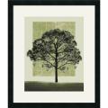 Harold Silverman 'Nature's Shapes I' Framed Art Print