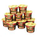 Sturm Foods Instant Apple-cinnamon Oatmeal