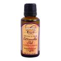 Amazing reviews on Growing Method Evans Now Foods 1-oz Citronella Oils (Pack of 6)