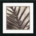 Jesse Canales 'Abstraction' Framed Art Print