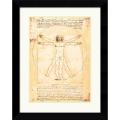 Leonardo da Vinci 'Proportions of the Human Figure (Vitruvian Man)' Framed ...