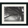 Mark Citret 'Cypresses, Skyline Drive, South San Francisco, 1996' Framed Art Print