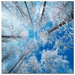 Philippe Sainte-Laudy 'Frozen Sky' Canvas Art