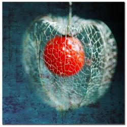 Philippe Sainte-Laudy 'Passion of Love' Canvas Art