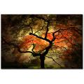 Philippe Sainte-Laudy 'Japanese' Canvas Art