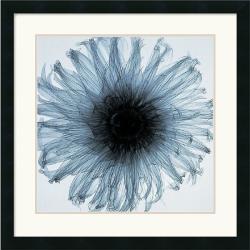 Steven N. Meyers 'Dahlia (blue)' Framed Art Print