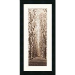 Alan Blaustein 'Poplar Trees' Framed Art Print