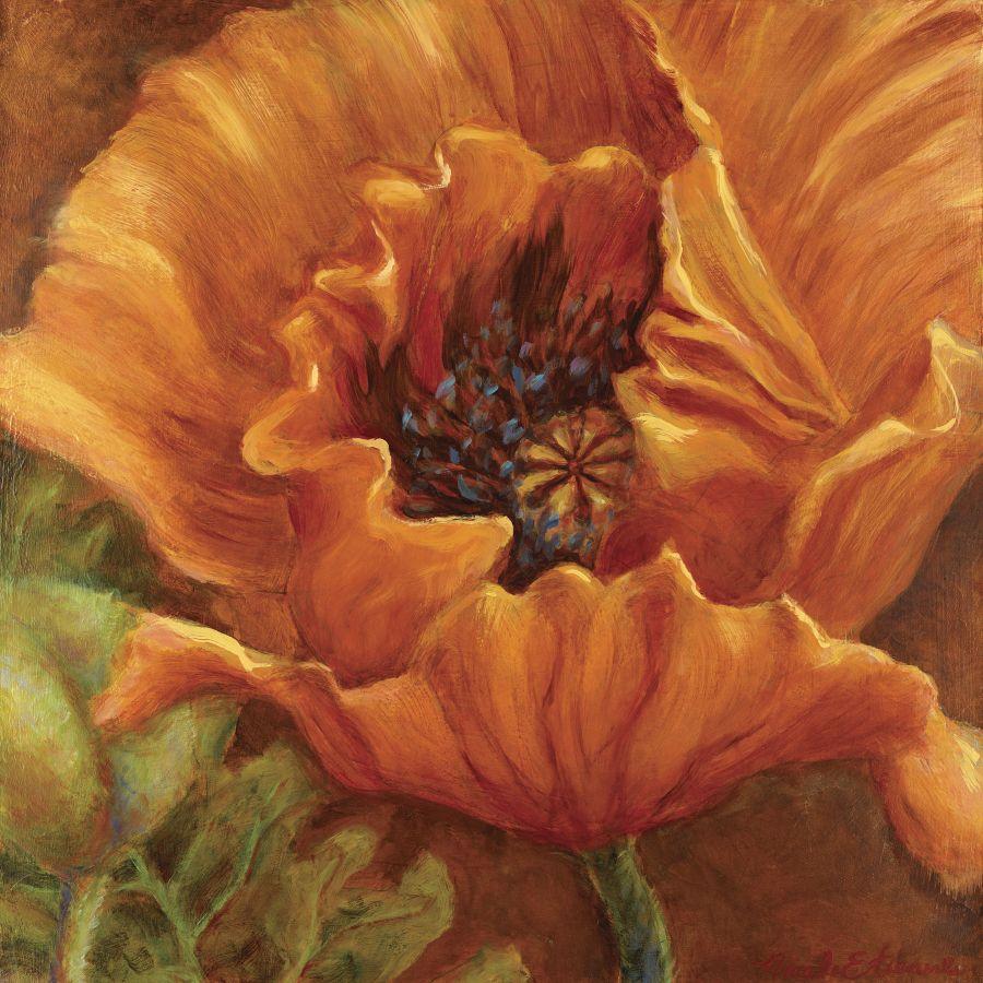 Nicole Etienne 'Orange Poppy' Gallery Wrapped Canvas Art