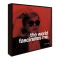 Andy Warhol 'The World Fascinates Me' Art Block