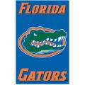 Striking guidelines on Banner Cake Concessions Florida Gators Nylon Banner Flag