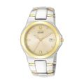 Citizen Eco-Drive Men's '180' Two-tone Steel Watch