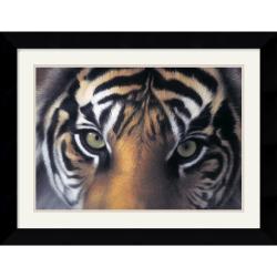 Charles Alexander 'Eyes of the Goddess: Sumatran Tigress' Framed Art Print