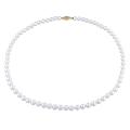 New York Pearls White Akoya Pearl 18-inch Necklace (5.5-6 mm)