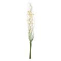 Natural Bouquet Botanical Accent (Indonesia)