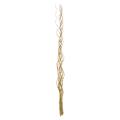 Bamboo Zig-zag Botanical Accent (Indonesia)