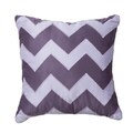 Sarabeth Chevron Square Pillow