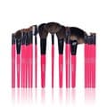 Shany NY Collection 22-piece Makeup Brush Kit with Pouch
