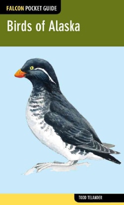 Falcon Pocket Guide Birds of Alaska (Paperback)