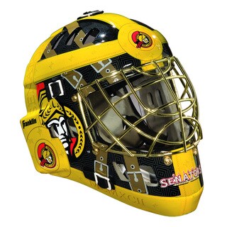 NHL Team SX Comp GFM 100 Goalie Face Mask-Image