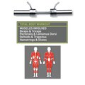Apex Olympic Dummbell Handles