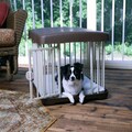 Carlson 3-in-1 Small Combi Crate
