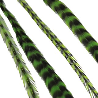 Donna Bella Striped Green Feather Hair Extensions