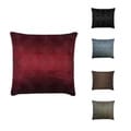 Circle Line Feather 20-inch Decorative Pillow