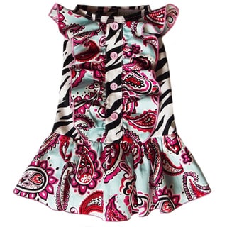 AnnLoren Zebra and Paisley Ruffled Dog Dress