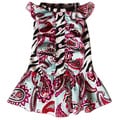 AnnLoren Zebra and Paisley Ruffled Dog Dress