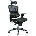 Eurotech Multifunction Mesh Chair with Headrest