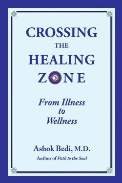 Crossing the Healing Zone: From Illness to Wellness (Paperback)