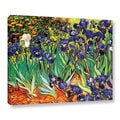 Vincent VanGogh 'Irises in the Garden' Wrapped Canvas Art