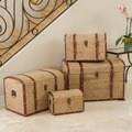 Christopher Knight Home Script-themed Storage Cases (Set of 4)