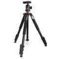Vanguard Alta+ 234AB Tripod