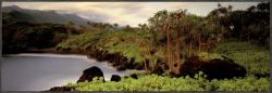 Susan Drinker 'Haleakala Rim' Art Block 