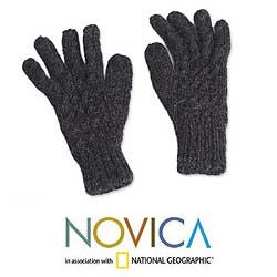 Alpaca Wool 'Lush Gray' Gloves (Peru)