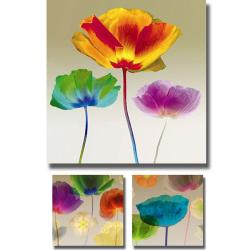 Robert Mertens 'Poppy and Fireworks' 5-piece Canvas Art Set