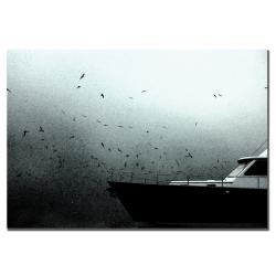 Nicole Dietz 'The Bow' Canvas Art