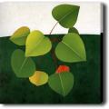 'Color Leaf' Giclee Canvas Art