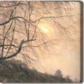 'Winter Sun' Giclee Canvas Art